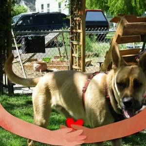 Meet your Posher, Debralynne